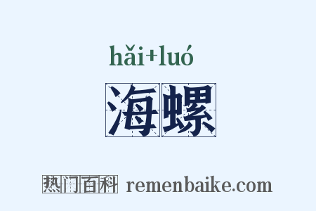 海螺是什么意思的图片